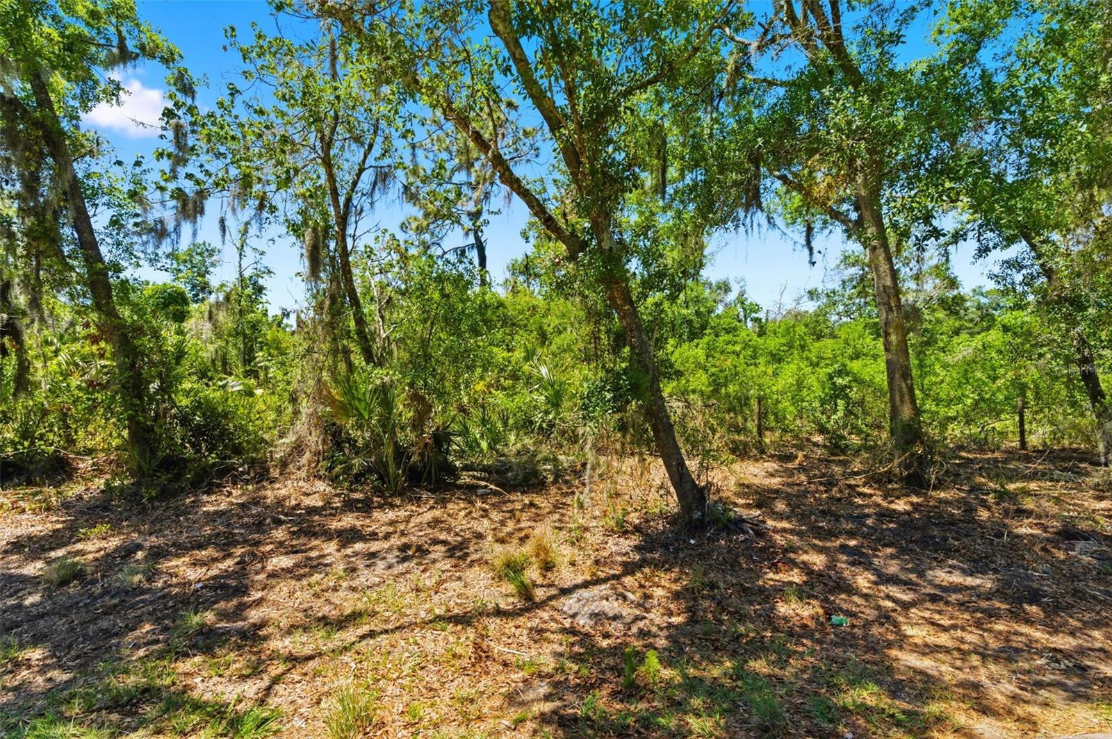 19084 RED BIRD LN #LOT 1 — photo 9