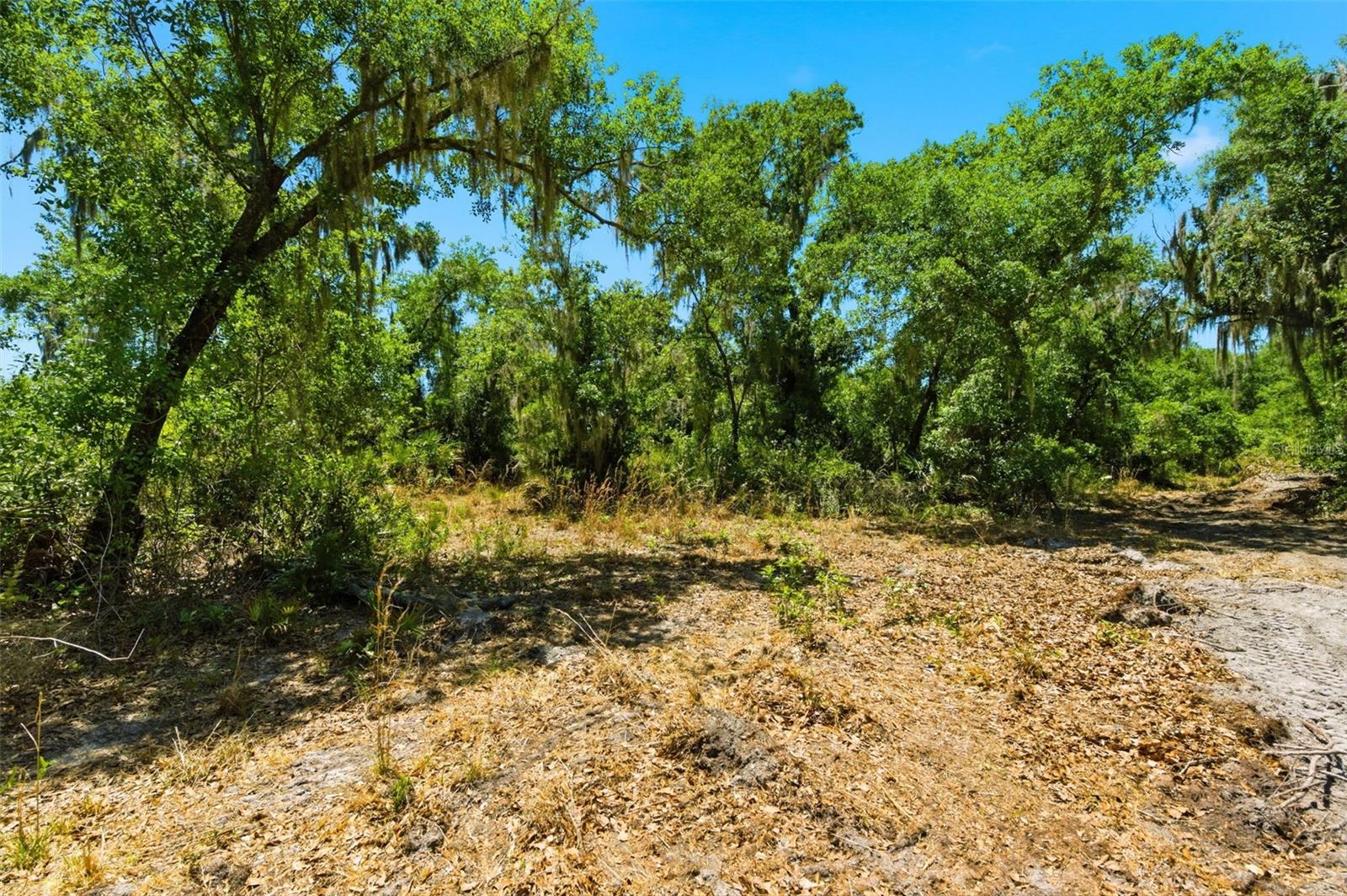 19084 RED BIRD LN #LOT 3 — photo 9
