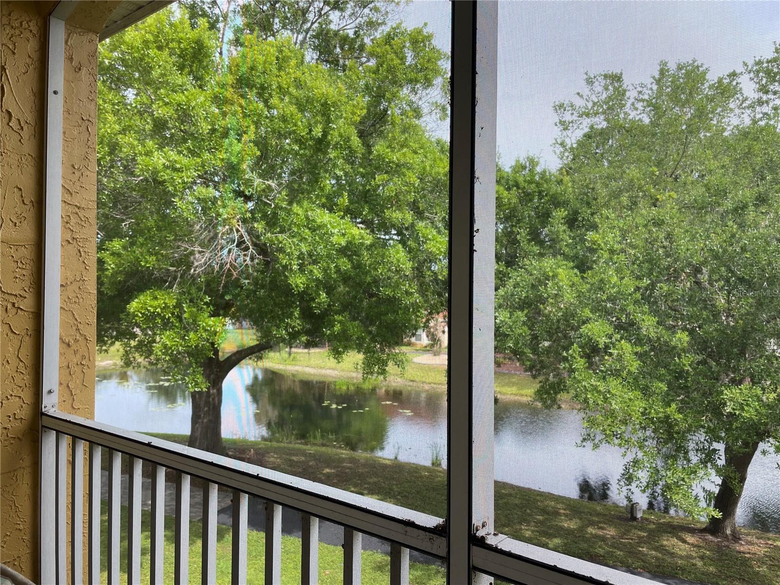 6816 DALI AVE #205 — photo 7