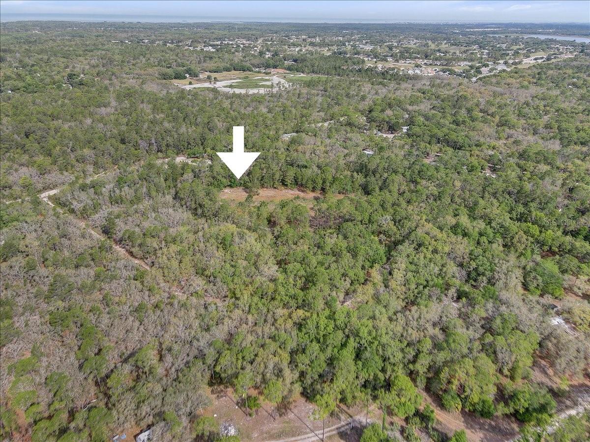 17528 COYOTE RD — photo 41