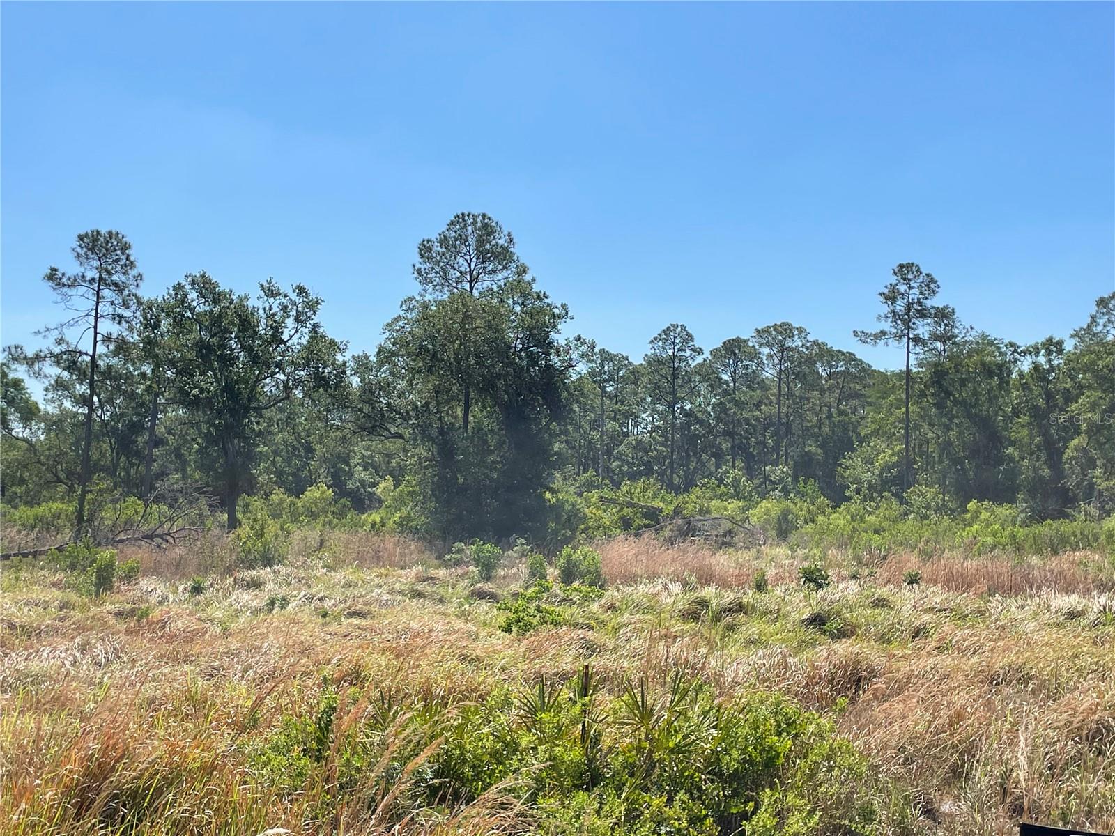 AVONWOOD — photo 6