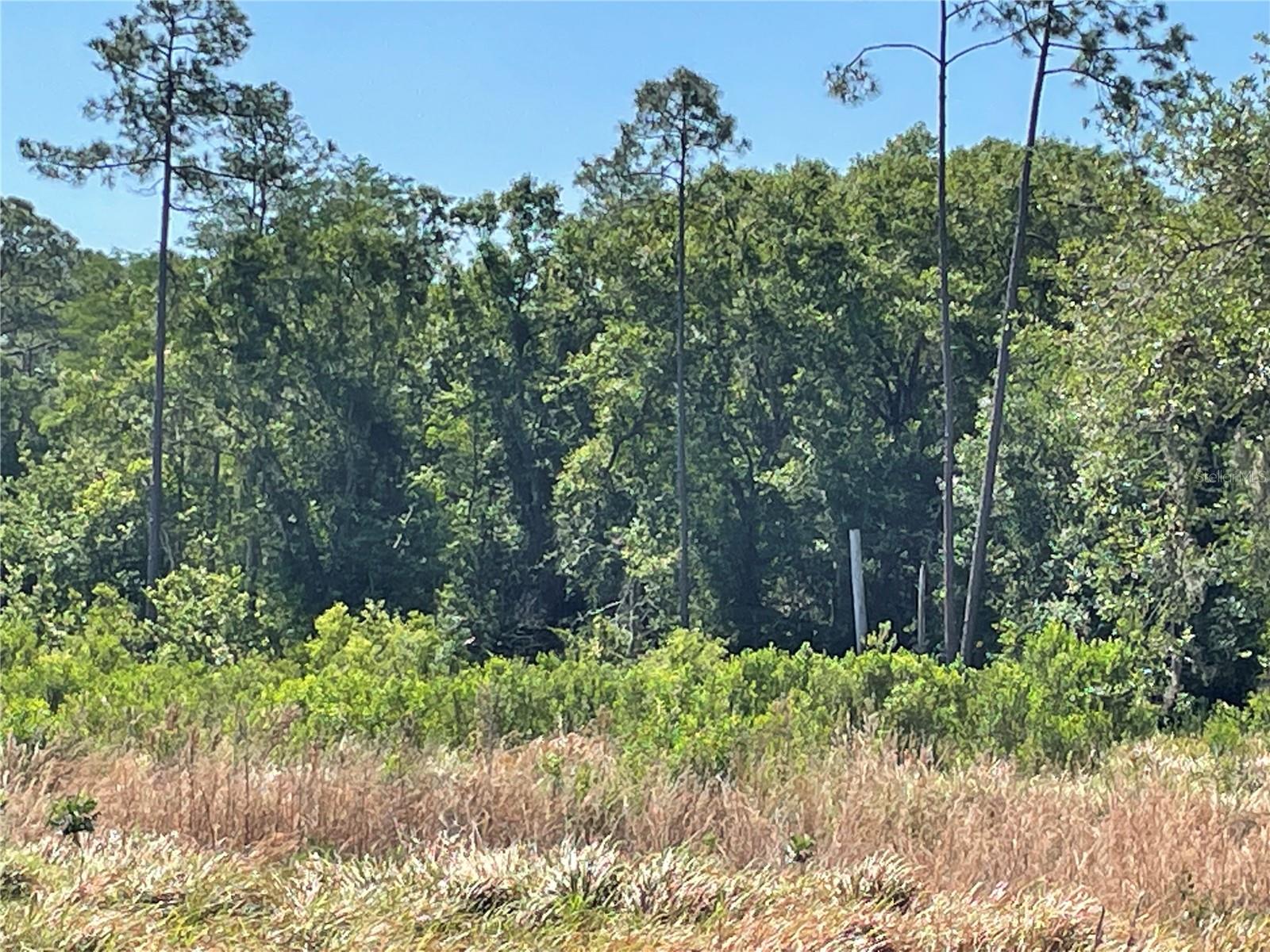 AVONWOOD — photo 12