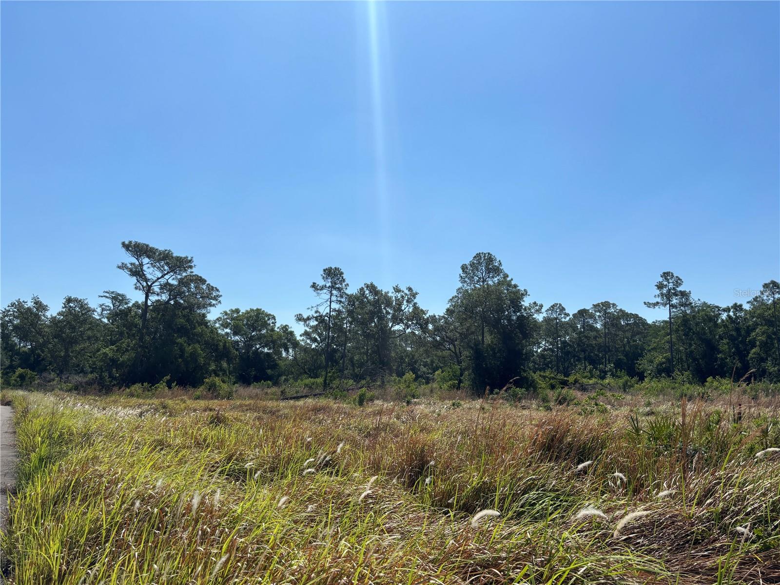 AVONWOOD — photo 13