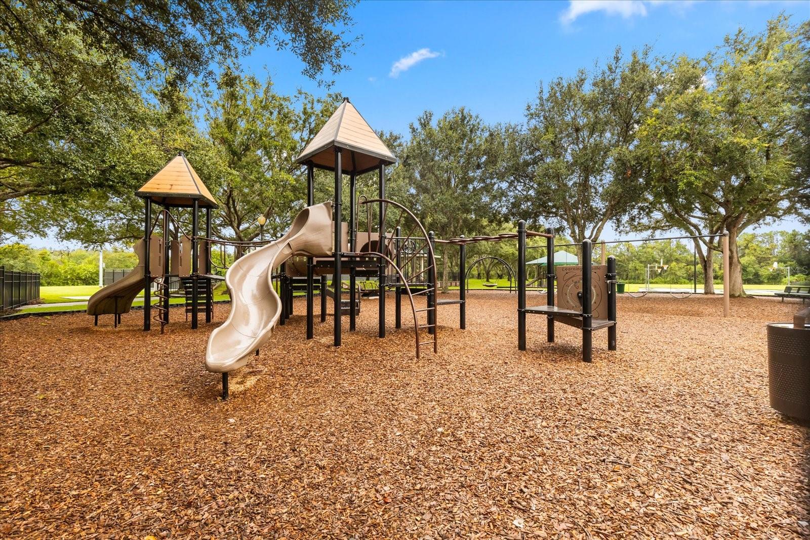 19027 DOVE CREEK DR — photo 22