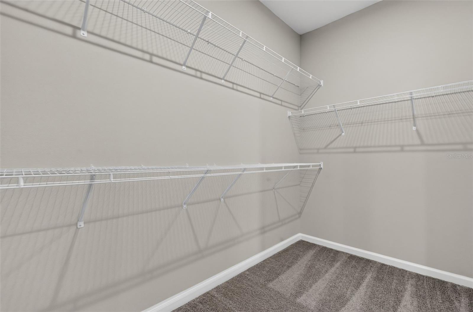 34754 FLOWER PATCH DR — photo 21