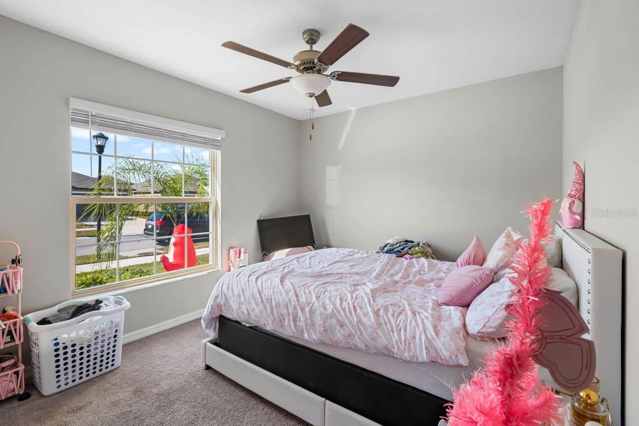 889 CALICO SCALLOP ST — photo 15