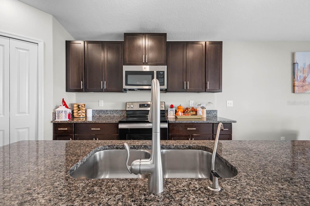 889 CALICO SCALLOP ST — photo 7