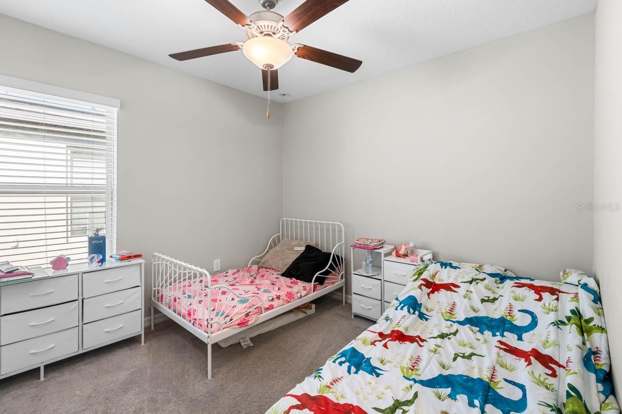 889 CALICO SCALLOP ST — photo 14