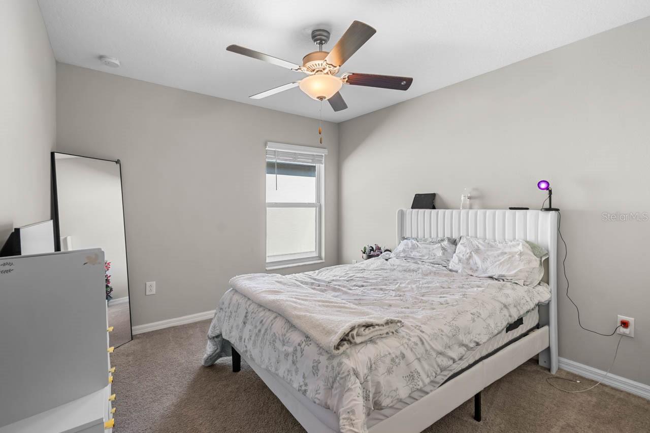 889 CALICO SCALLOP ST — photo 13