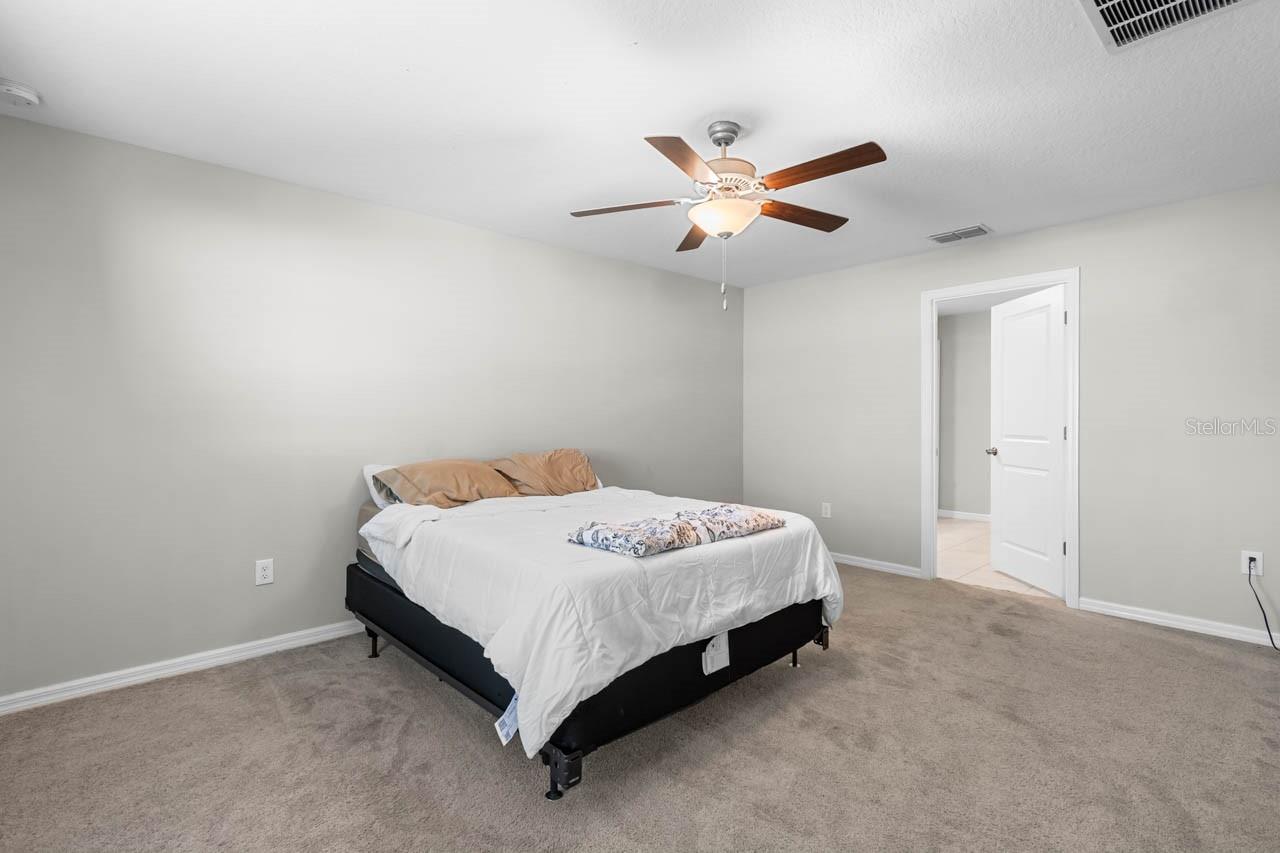 889 CALICO SCALLOP ST — photo 10
