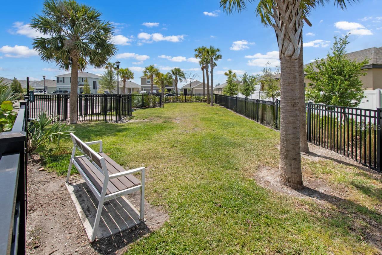 889 CALICO SCALLOP ST — photo 31