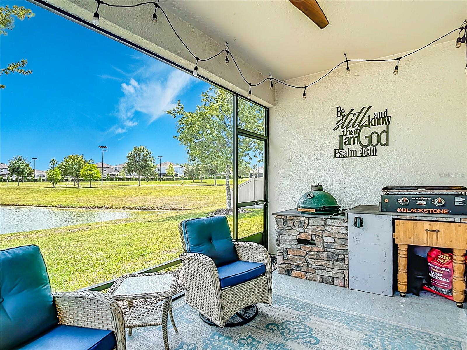 30980 JAZZ LEAF PL — photo 41