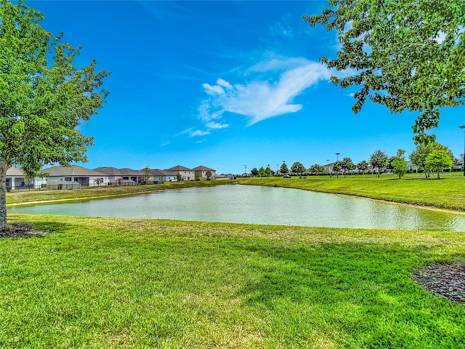 30980 JAZZ LEAF PL — photo 44