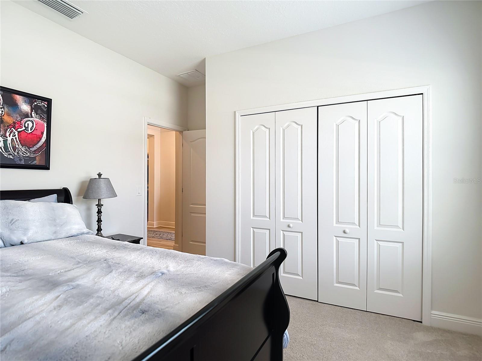 30980 JAZZ LEAF PL — photo 34