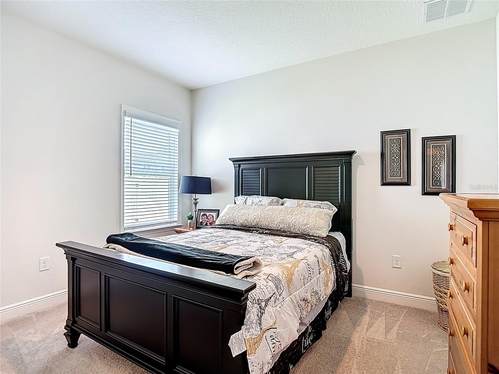 30980 JAZZ LEAF PL — photo 30