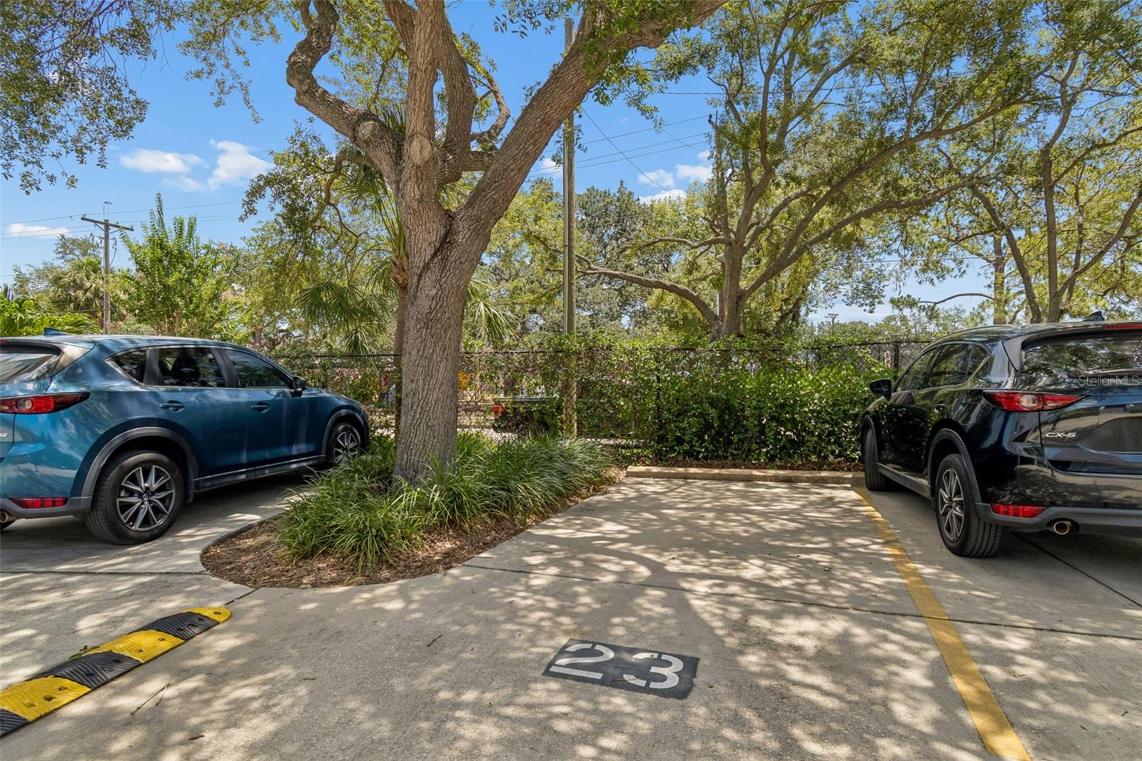 160 COLUMBIA DR #206 — photo 38