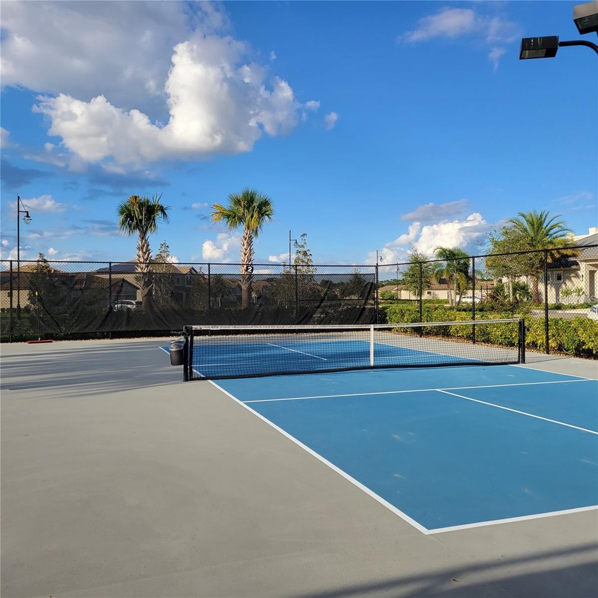 17335 BLUE RIDGE PL — photo 43