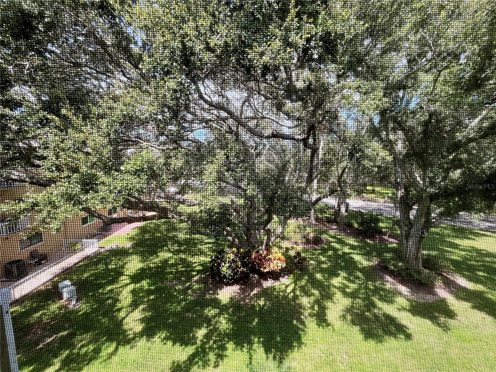2220 SPANISH DR #54 — photo 21