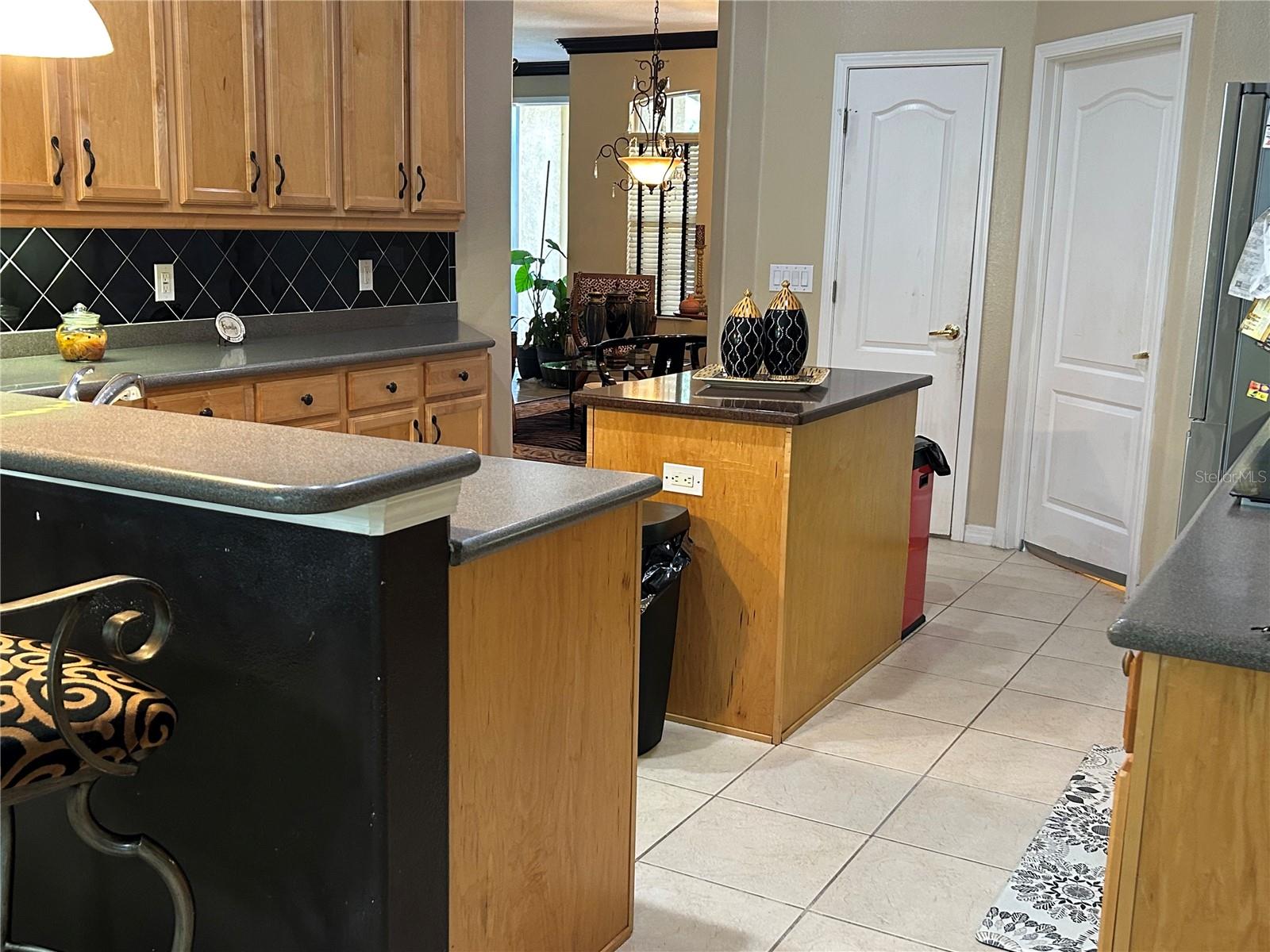 26612 SHOREGRASS DR — photo 8