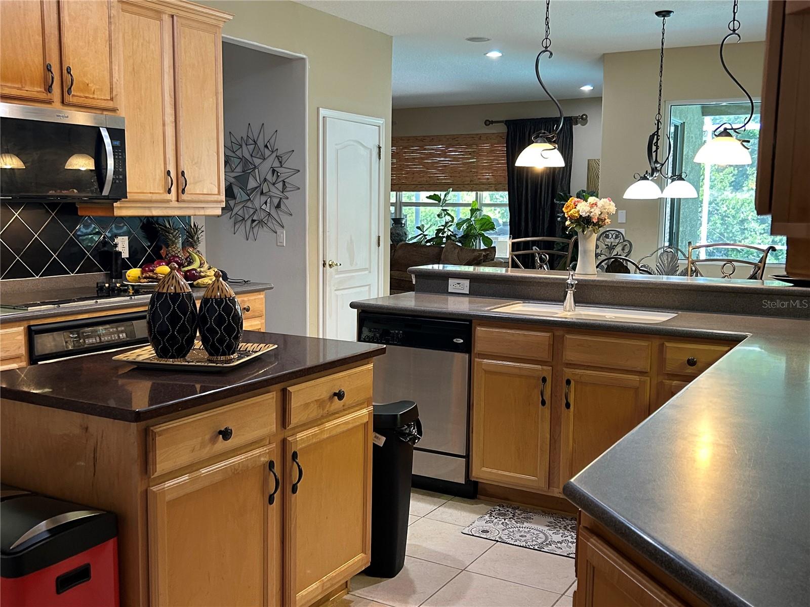 26612 SHOREGRASS DR — photo 11