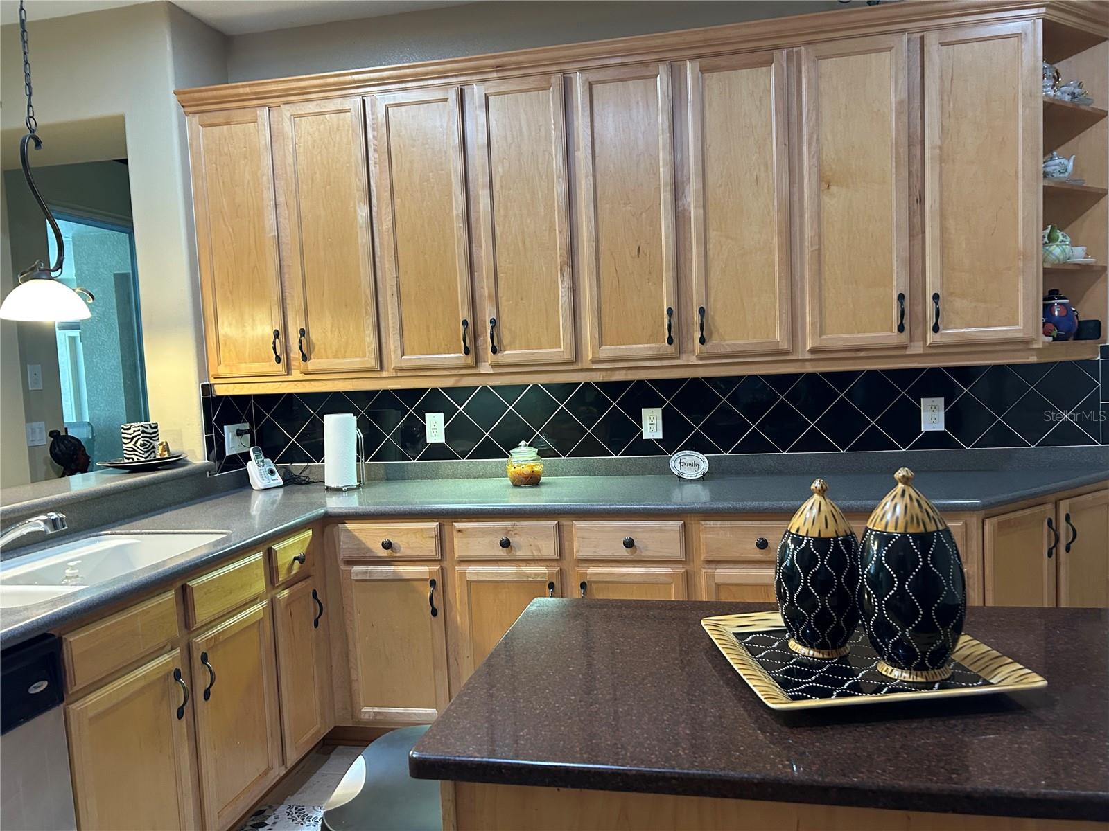26612 SHOREGRASS DR — photo 9