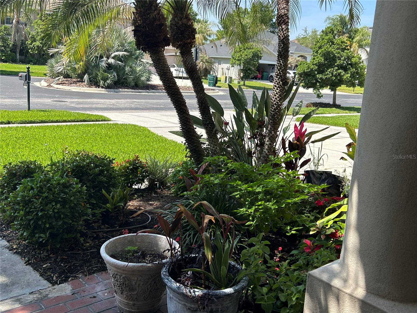 26612 SHOREGRASS DR — photo 5