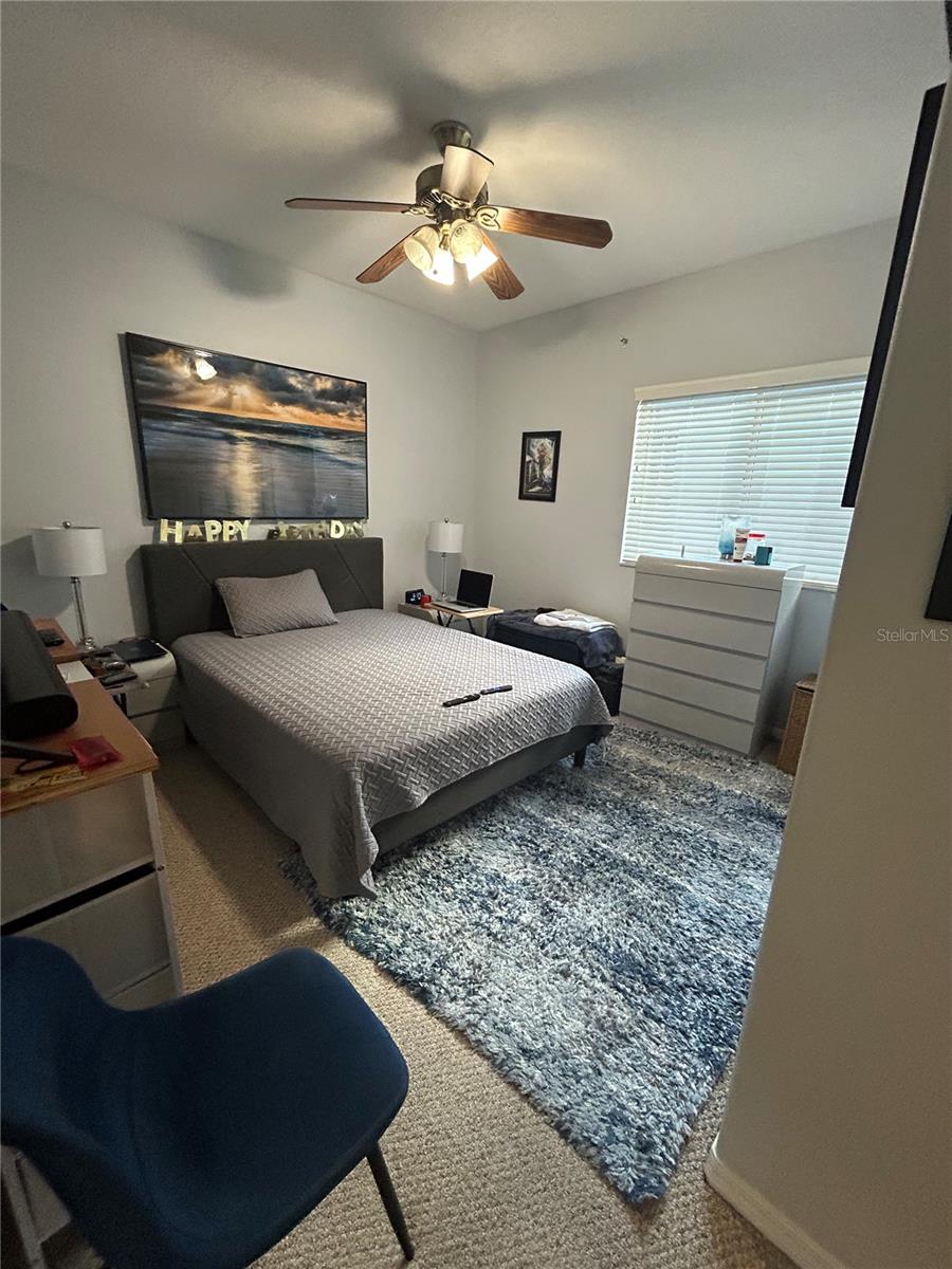 26612 SHOREGRASS DR — photo 28