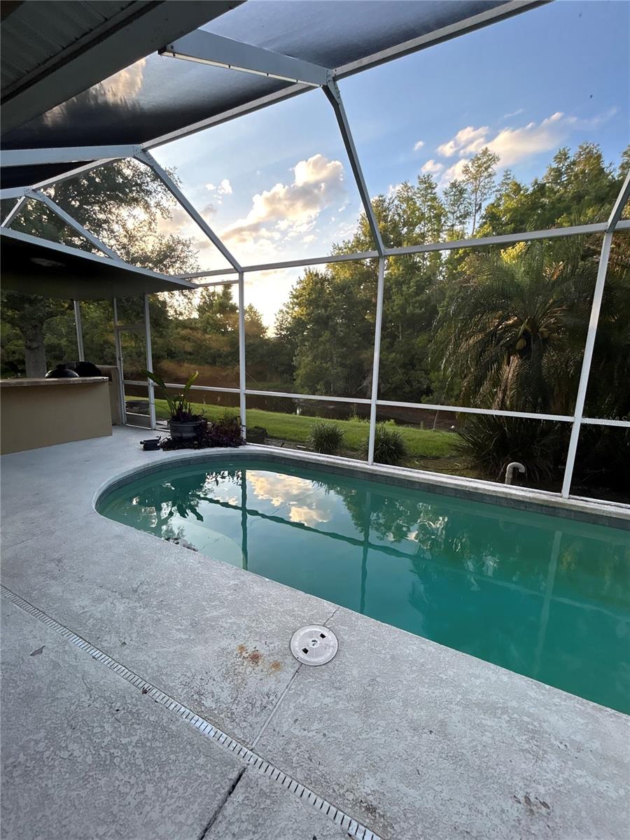 26612 SHOREGRASS DR — photo 48