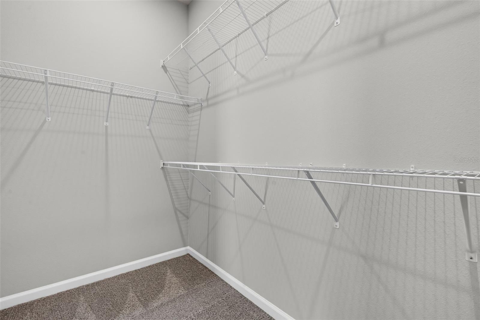 34766 FLOWER PATCH DR — photo 20