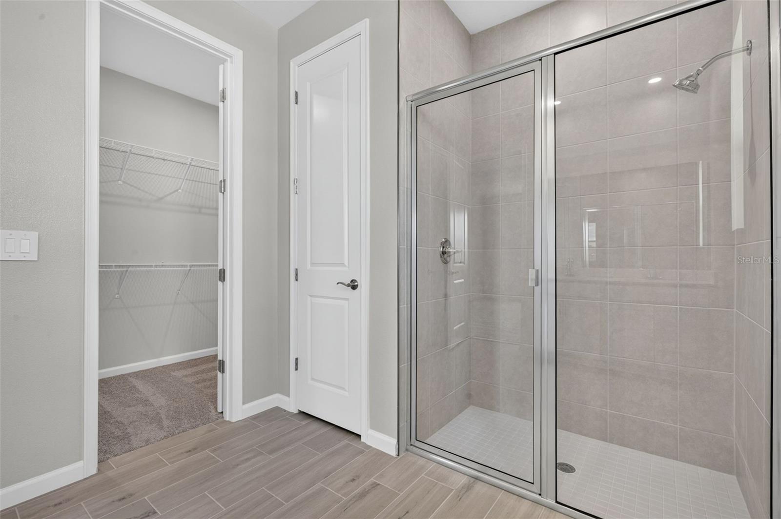 34766 FLOWER PATCH DR — photo 19