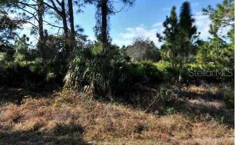 MATTOX CIR — photo 3