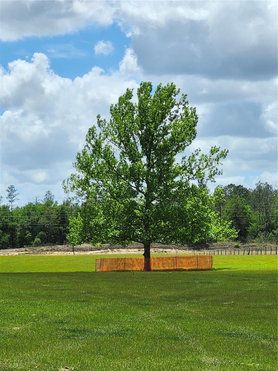 0 CHRISTIAN RD #Lot 2 — photo 6