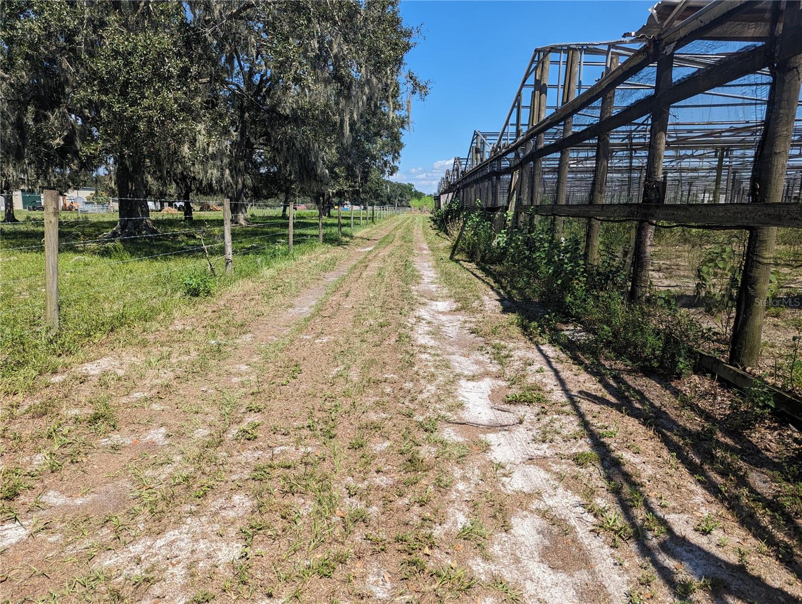 16070 CARLTON LAKE RD — photo 8