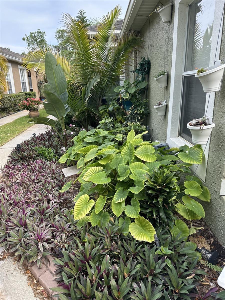 19113 DOVES LANDING DR — photo 2
