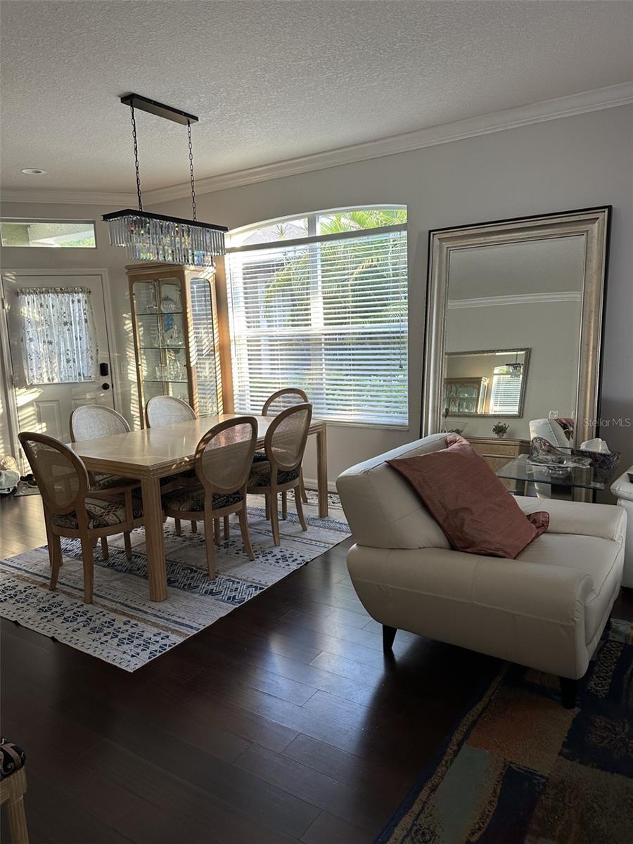 19113 DOVES LANDING DR — photo 5