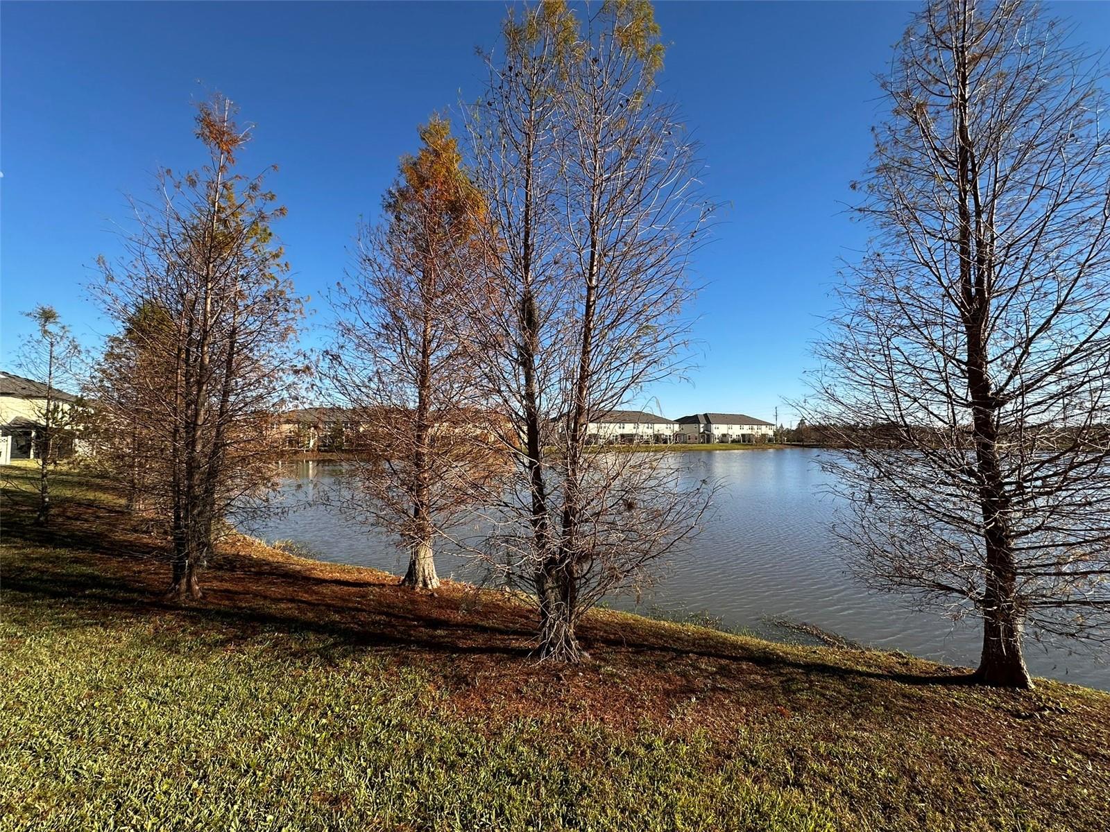 29850 SOUTHWELL LN — photo 31