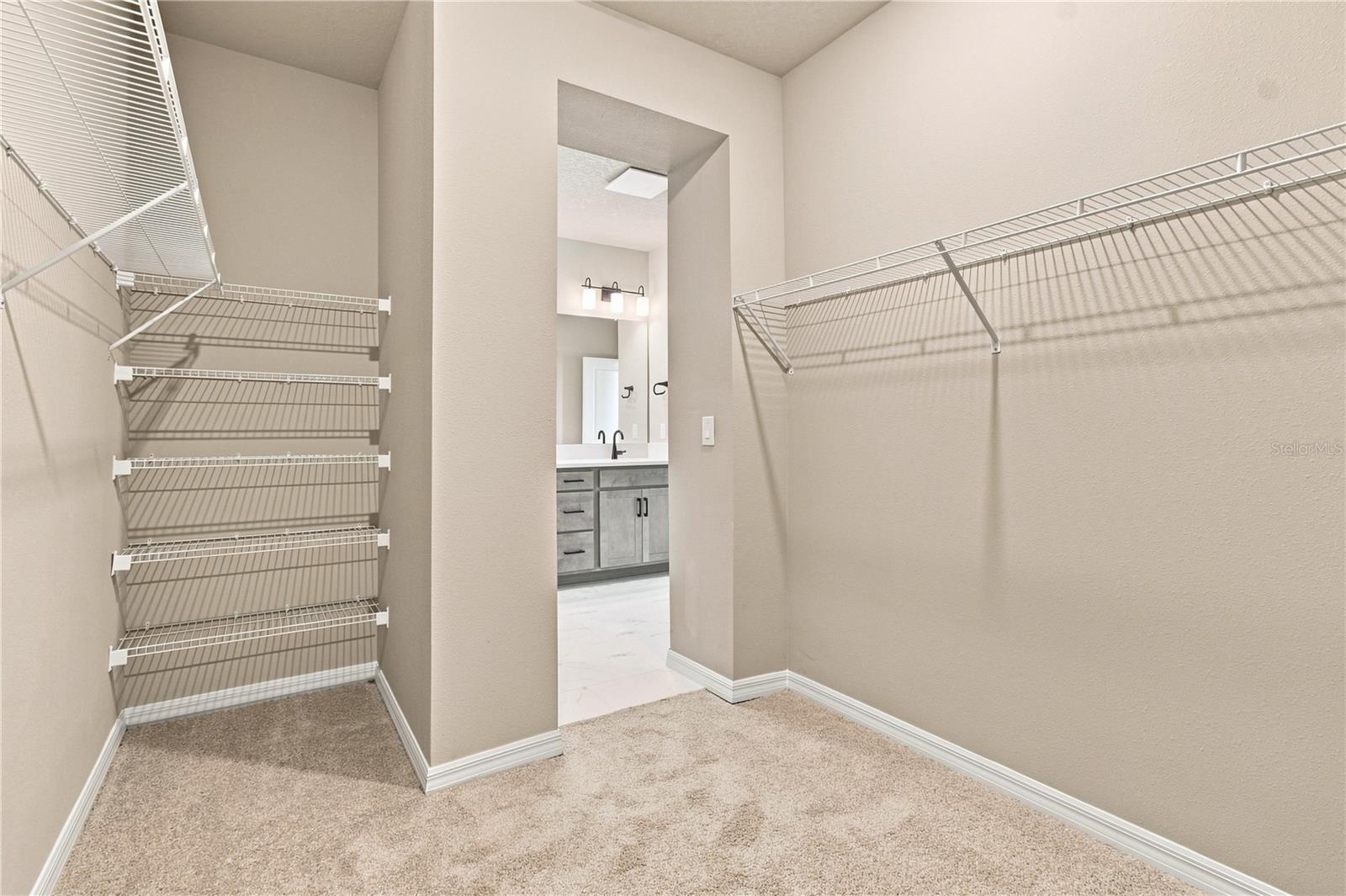 3417 YELLOW CASSIA DR — photo 19