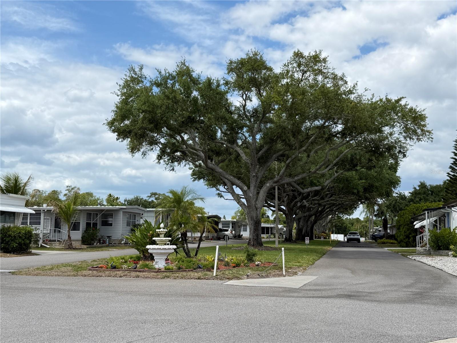 2331 BELLEAIR RD #529 — photo 52