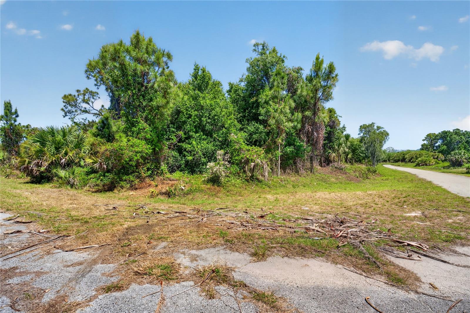 CUSTER CIR — photo 4