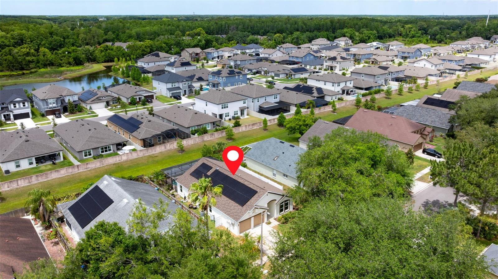 11708 CARROLLWOOD COVE DR — photo 34
