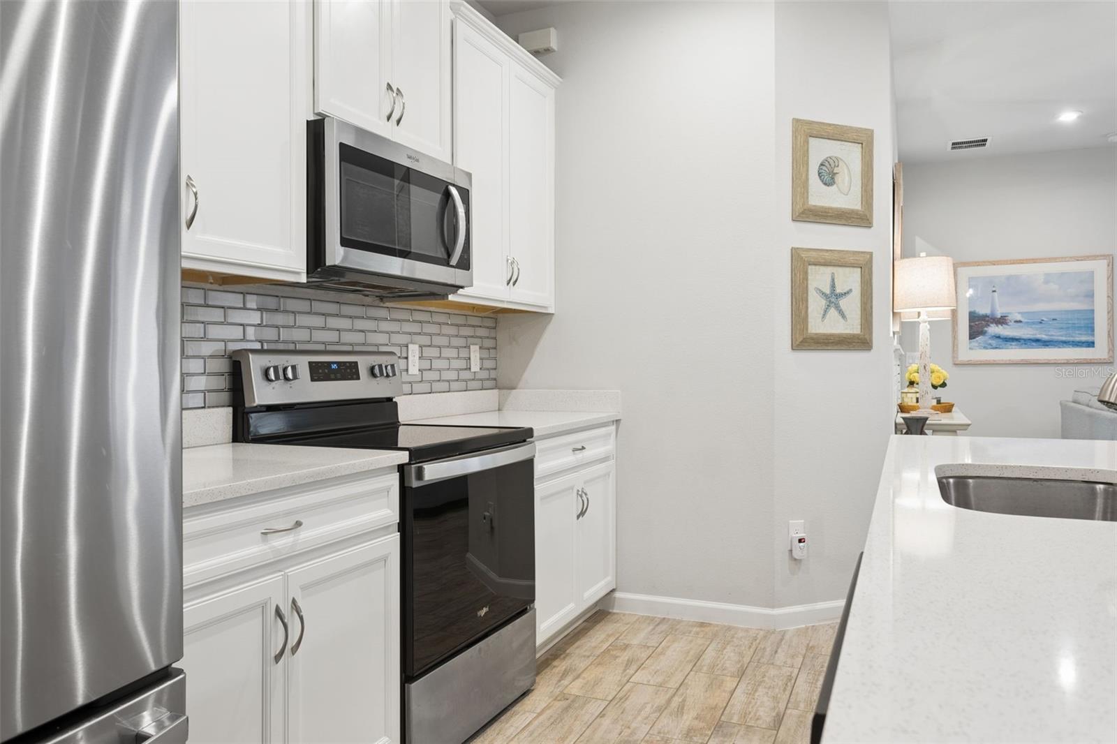 4317 CLOUD HOPPER WAY — photo 8