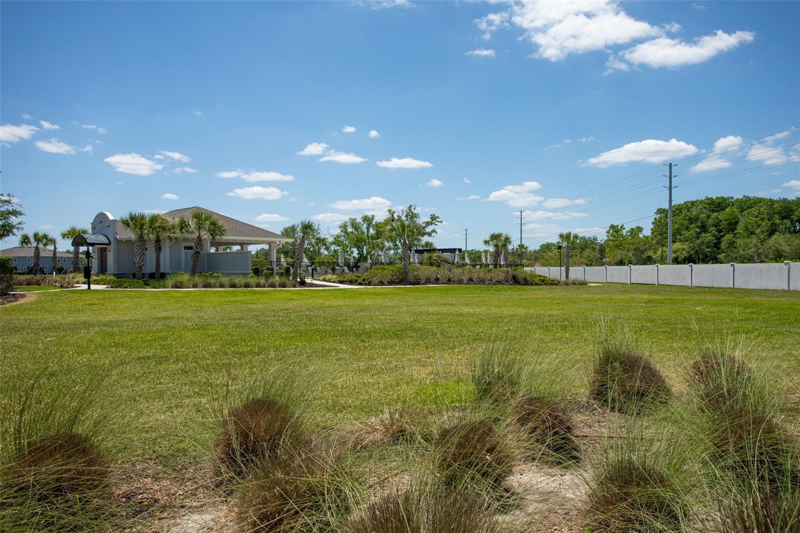 4317 CLOUD HOPPER WAY — photo 37