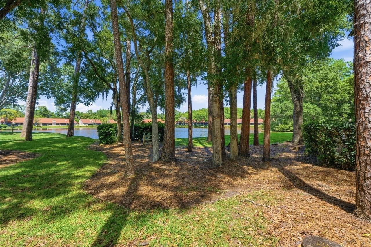 3399 MERMOOR DR #101 — photo 32