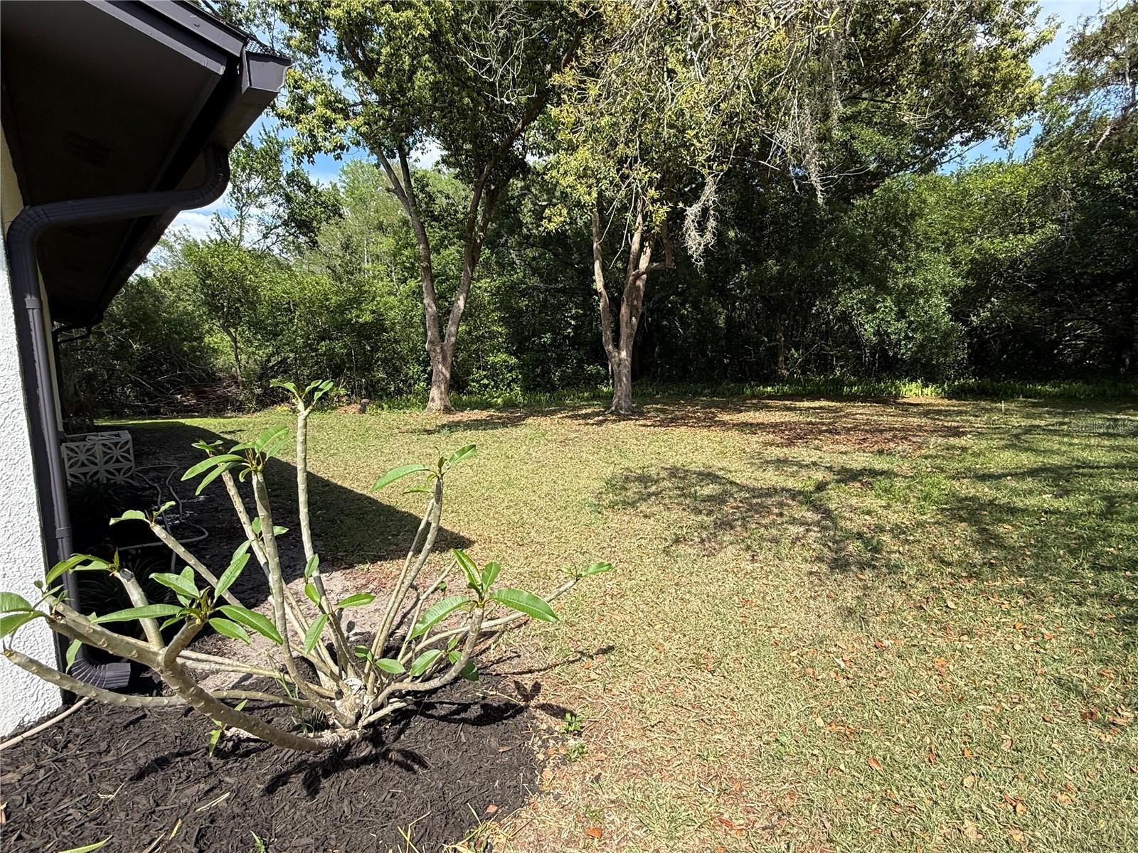 10501 HARDWOOD CT — photo 30