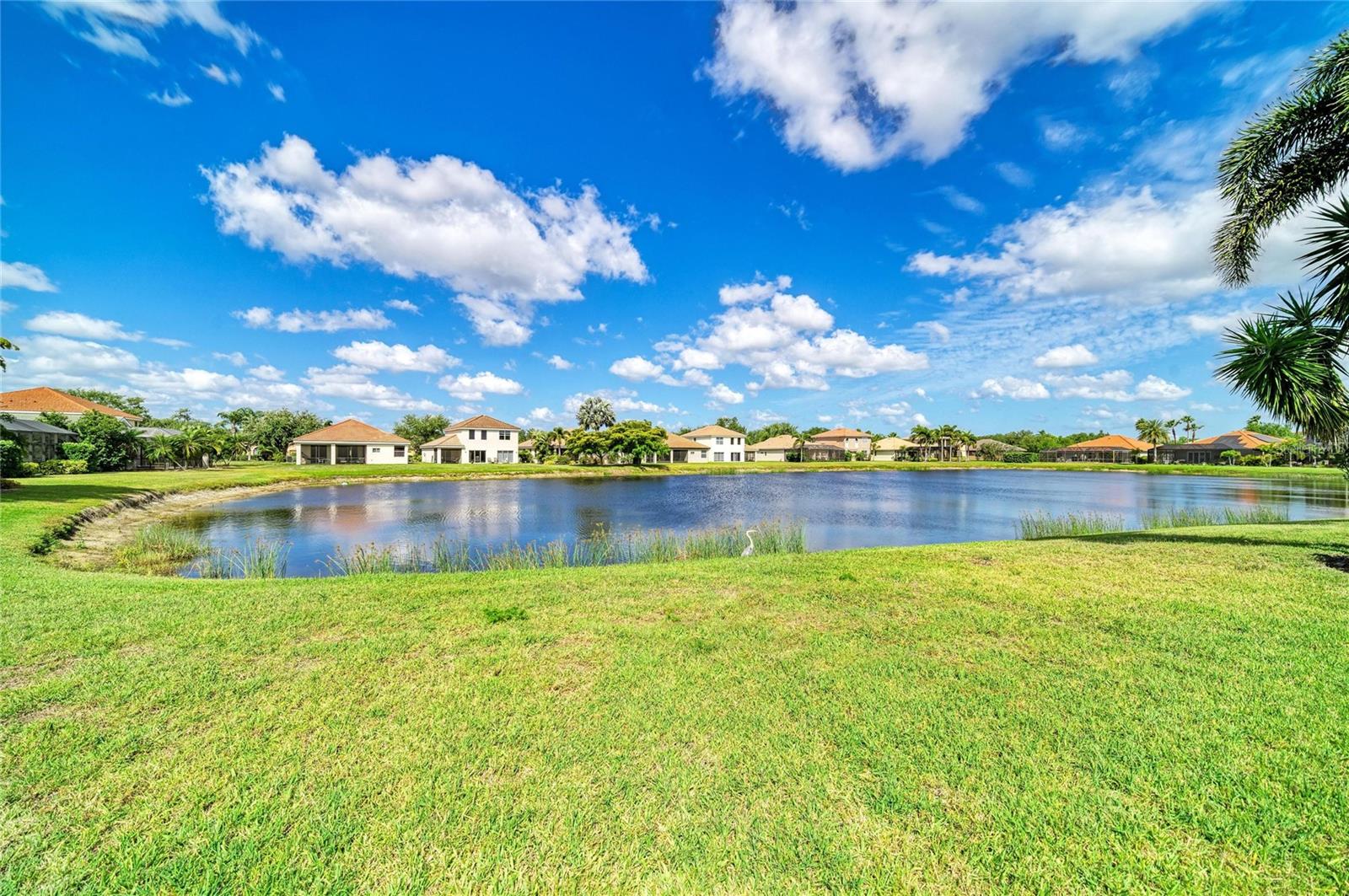 9035 WILLOWBROOK CIR — photo 41