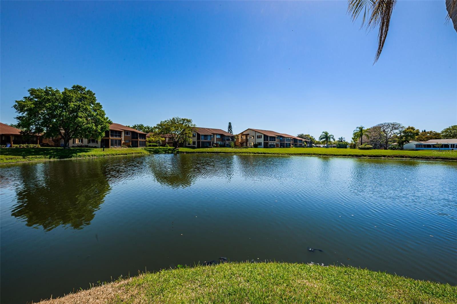 3815 PENRICK DR #0 — photo 48
