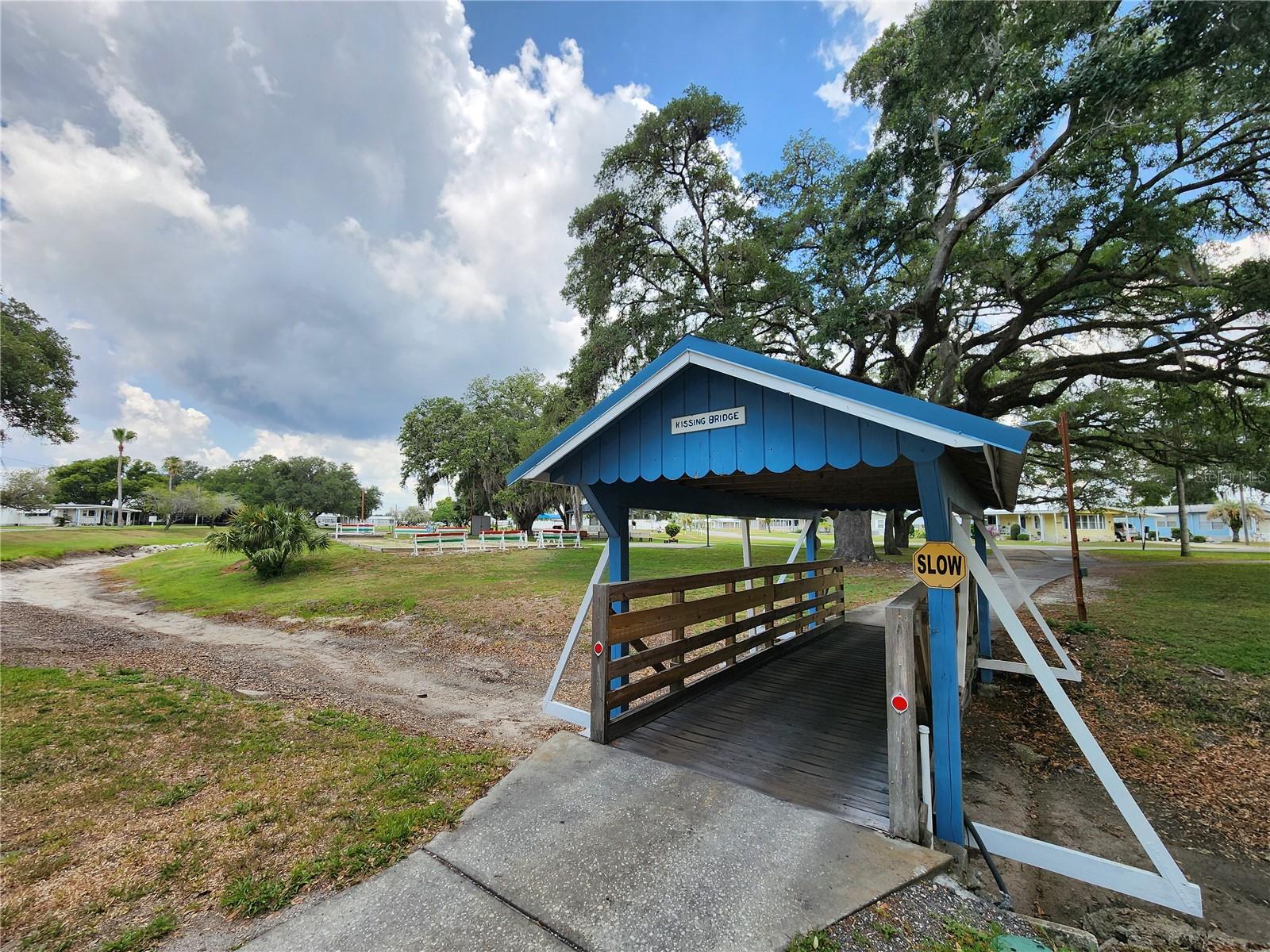 37251 LOIS AVE — photo 48
