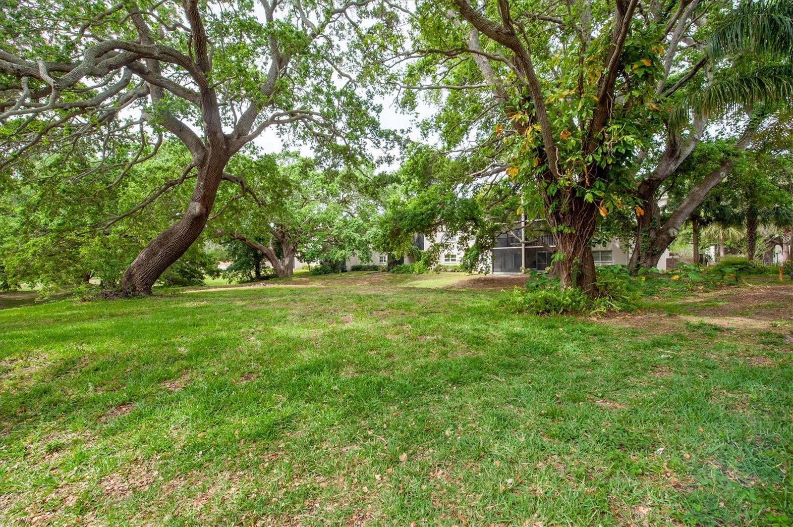 845 MAPLE CT #103 — photo 23