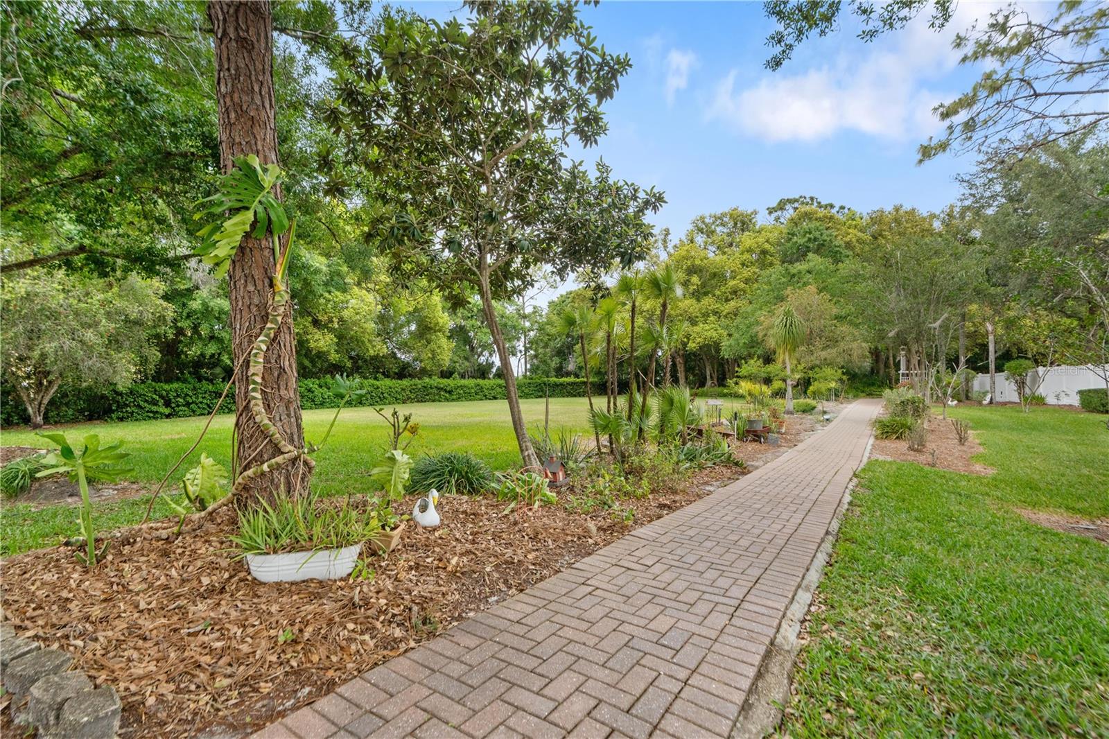 21506 GRAY TERN CT — photo 44