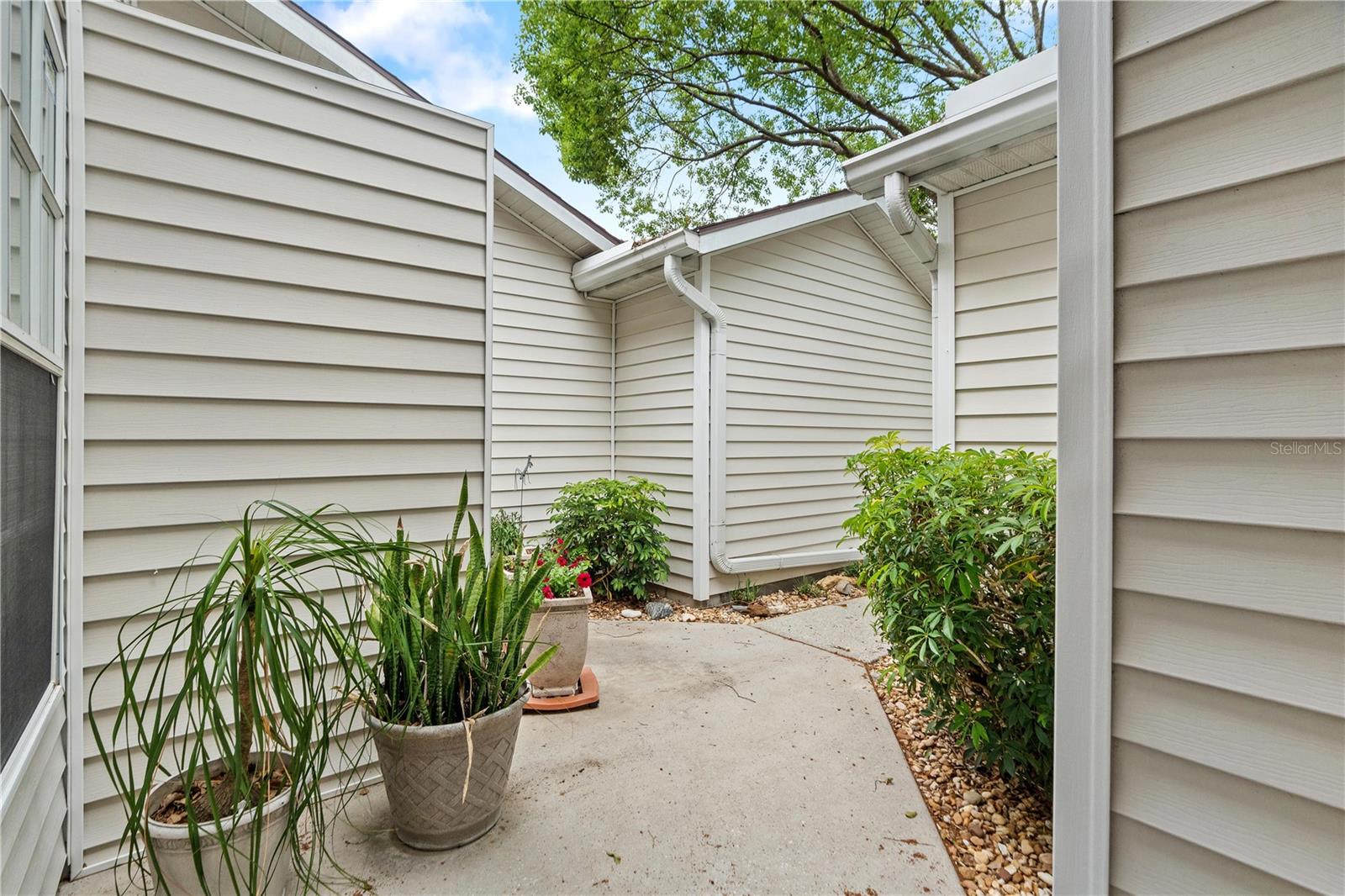 21506 GRAY TERN CT — photo 5